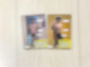 금붕어 반장 전라 카드