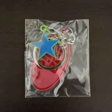 듀얼리파 키링