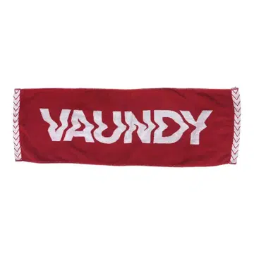 Vaundy 타월