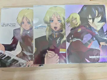 건담 SEED DESTINY 사진 컬렉션 Cell DX 레이