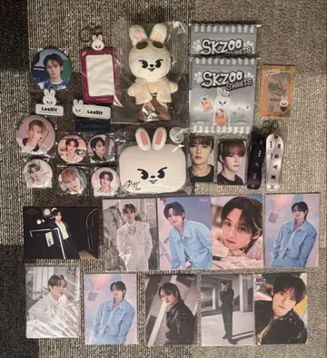 straykids 리노 leebit 묶음 판매