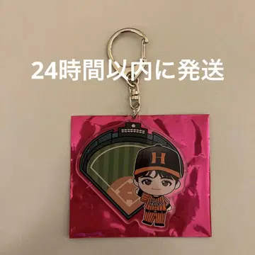 초특급 지역 키링 효고 하루