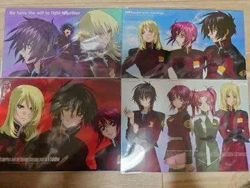 건담 SEED DESTINY 사진 컬렉션 Cell DX 신 레이