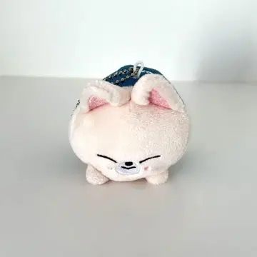 StrayKids 미니 백 참 포키니 SKZOO