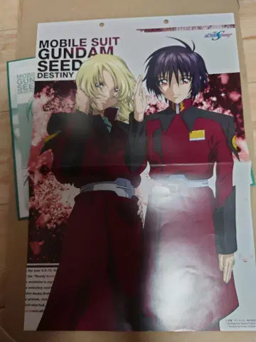 건담 SEED DESTINY 핀업 컬렉션 신 & 레이