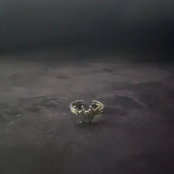 가면라이더 빌드 반지