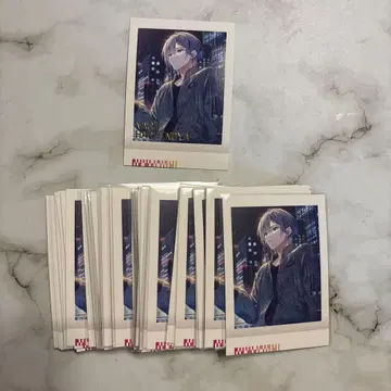 파샤코레 벌집집 나기 50매