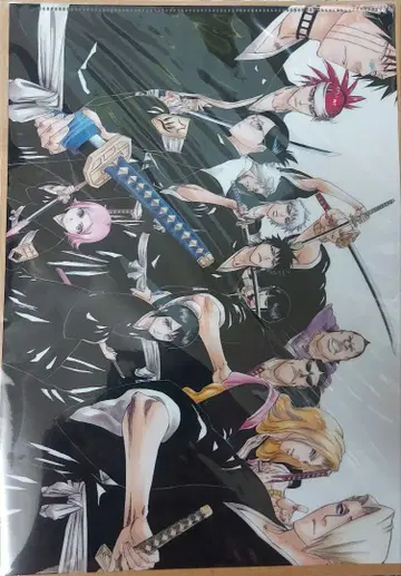 호테이 13대 부대장 원화전 클리어 파일 블리치 BLEACH