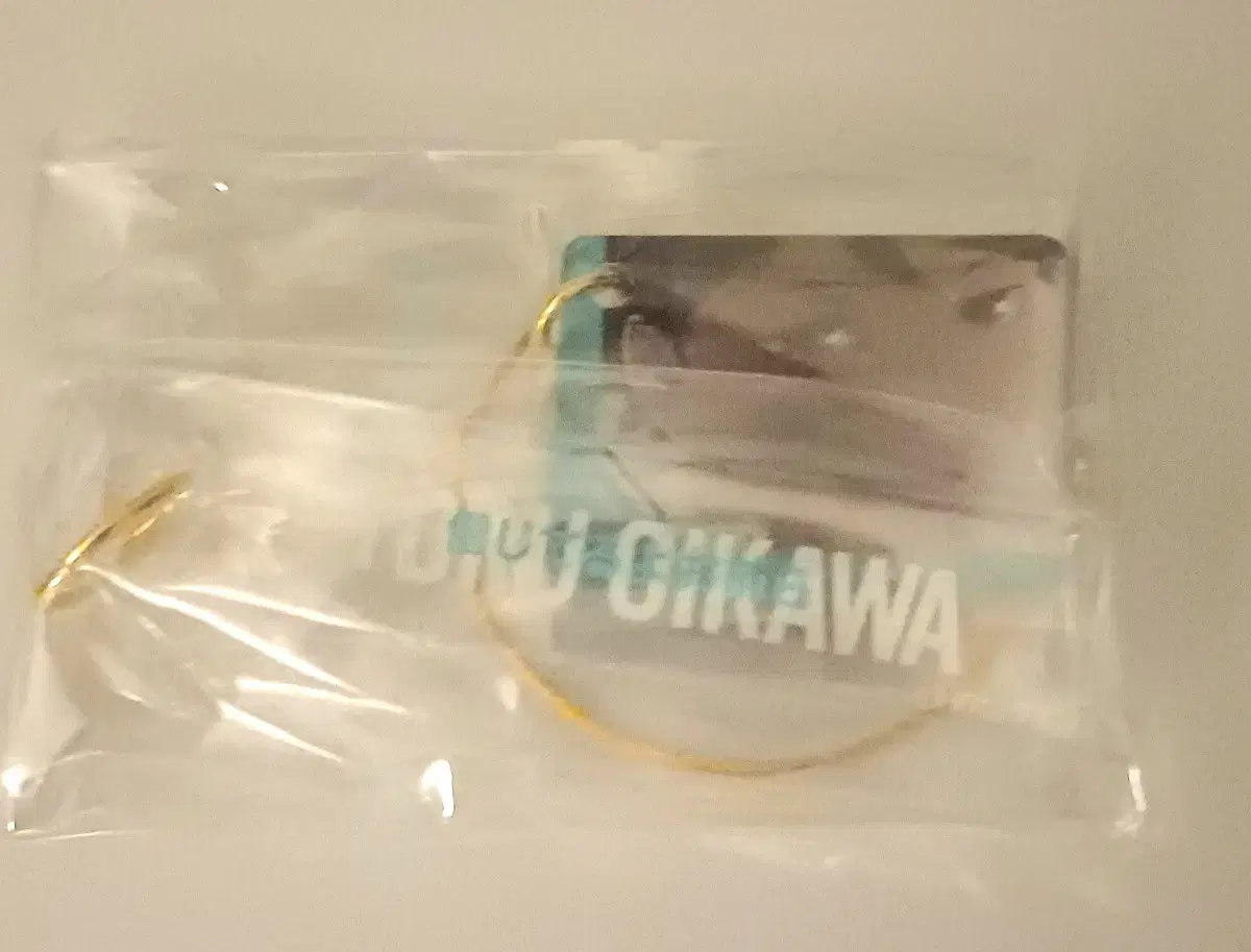 Haikyu Oikawa Tooru Quote Plate Keyring