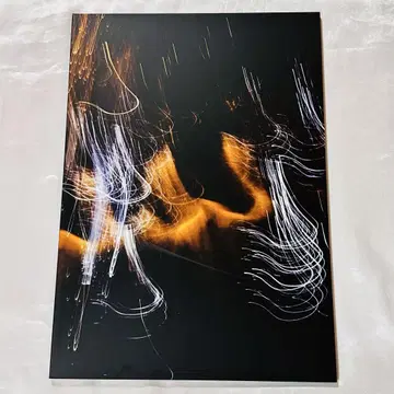 the GazettE 가제트 팜플렛 GOVC
