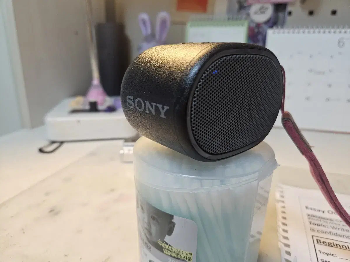 Sony Portable Bluetooth Speaker