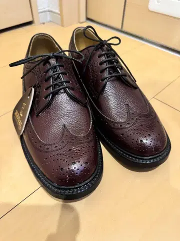 REGAL 2585N 브라운 윙 칩