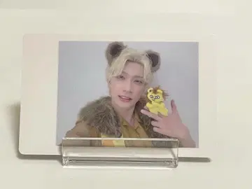 팬더 드래곤 하피카 요타