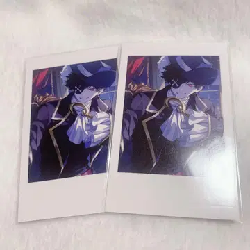 crazy raccoon CR mondo 셀카