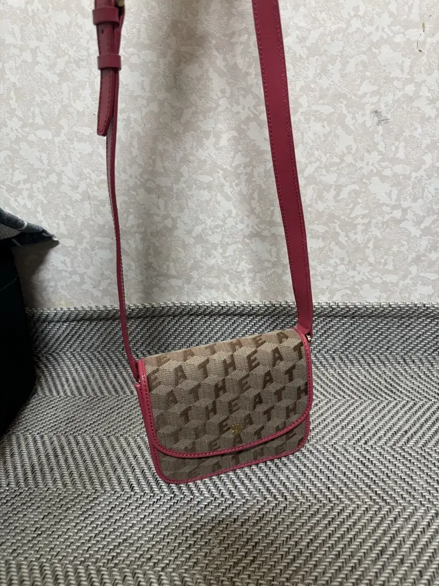 Athe Vanessa Bruno Mini Crossbody Bag