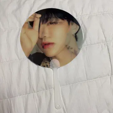 호시 부채 디페스타 dfesta seventeen