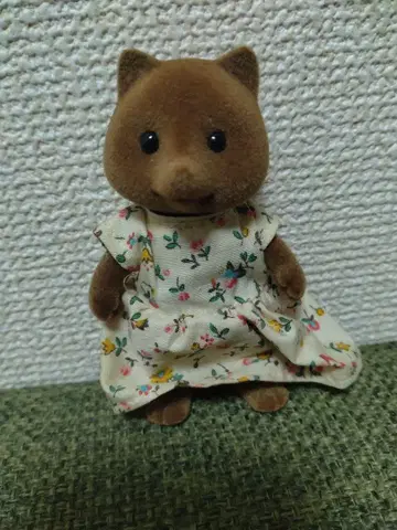 실바니아 초기 너구리 엄마