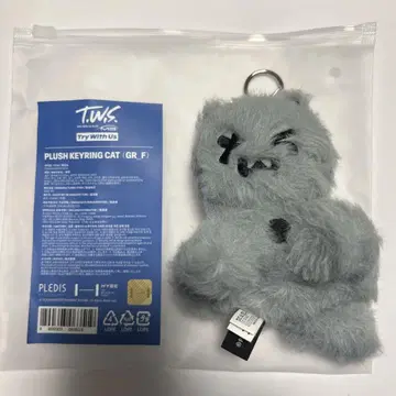 TWS 고양이