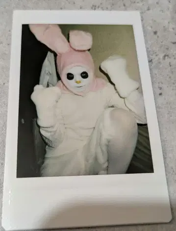 R 지정 마모 폴라로이드