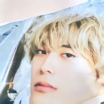 초특급 알로하 타월