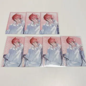 SUISAI RAIN 랜덤 비주얼 카드 세트 아카기 웬