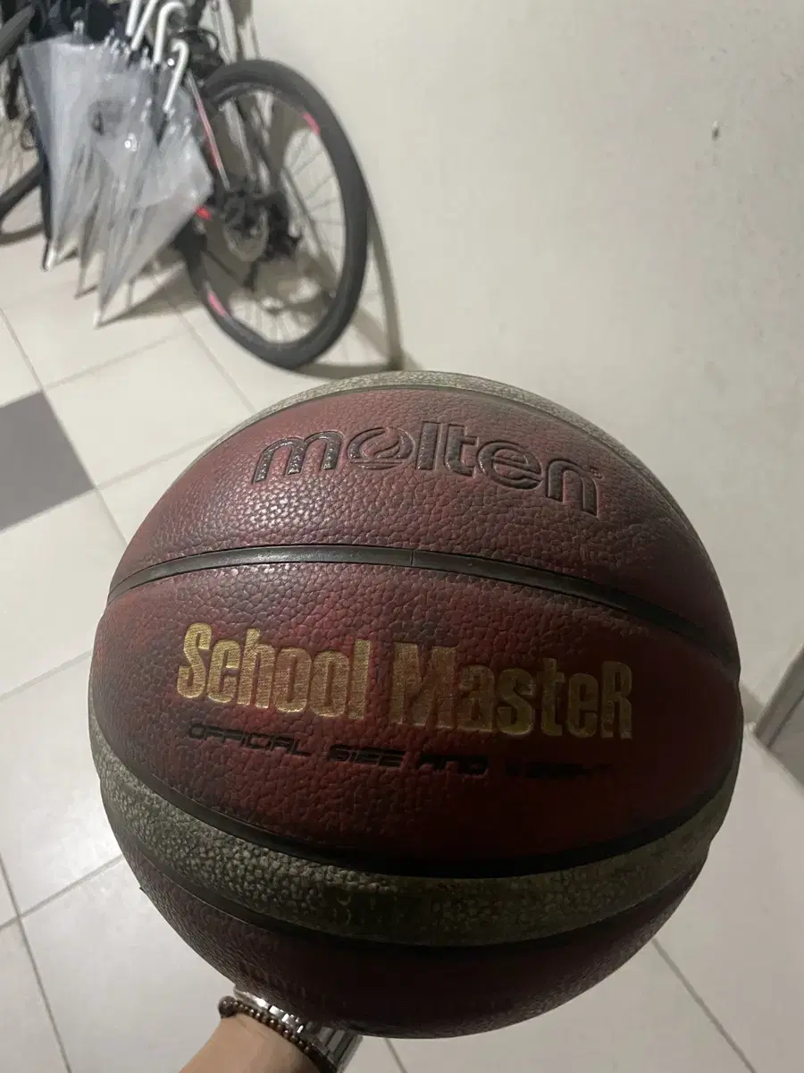 Molten School Master Basketball