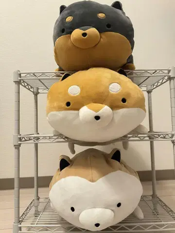 타루시바 모치모치 누워있는 BIG 봉제 인형 1~3