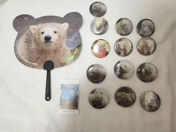 야기야마 동물 공원 북극곰 쌍둥이 세트