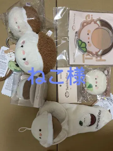 고양이
