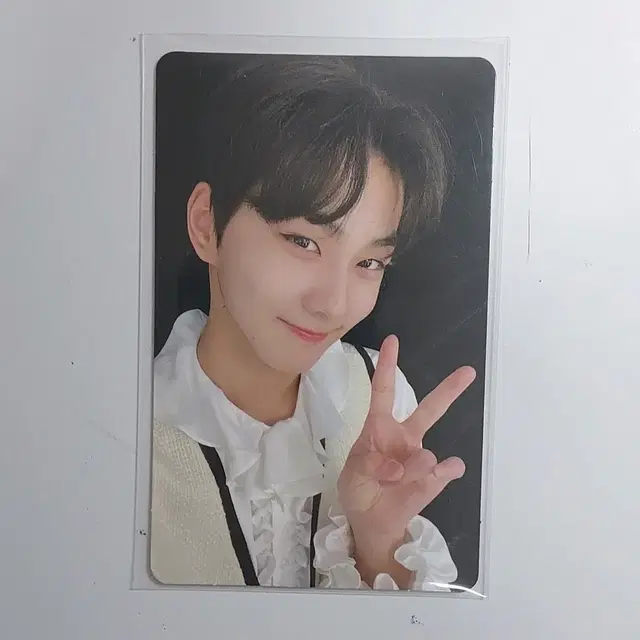 엔하이픈 정원 포카 양도 합니다 보더데이원 앨범