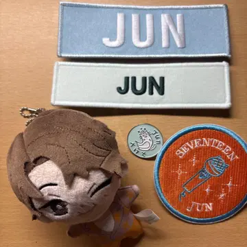 JUN 와펜 봉제 인형 핀 배지 세트 세븐틴