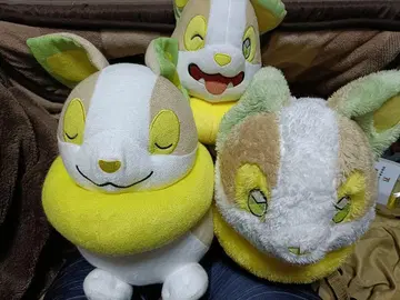 완파치 봉제 인형 3개 묶음 판매 포켓몬 포켓몬스터
