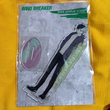 WIND BREAKER 빅 아크릴 스탠드 사쿠라 하루카 THE 캐릭터