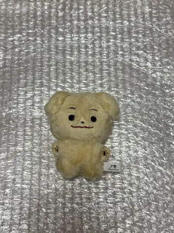 ENHYPEN 제이크 마스터 봉제 인형
