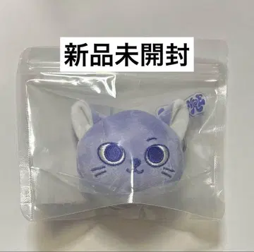 BOYNEXTDOOR 얼굴 키링 송호 CATBBI
