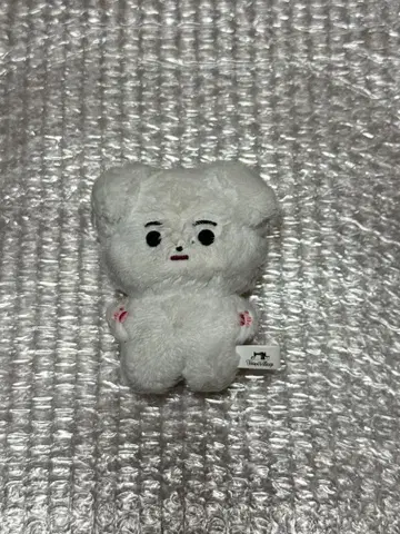 ENHYPEN 송훈 마스터 봉제 인형