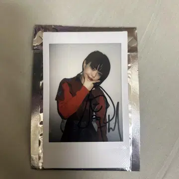 아이나 디 엔드 사인 포함
