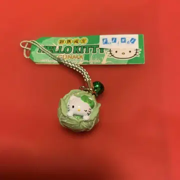 지역별 키티 군마