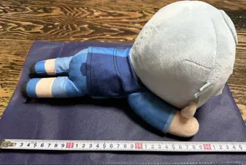 BTS RM 타이니탄 인형 봉제 인형 k-pop 마스코트
