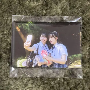 히나타자카46 절대적인 육감 랜덤 마그넷 쇼겐지 요코 & 후지시마 카호