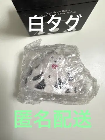 INI XQUARE 타지 팬더 화이트 네임택 타지마 쇼고