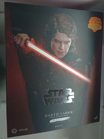 핫토이즈 Hot Toys SWCJ 다스 베이더 아나킨 아티산