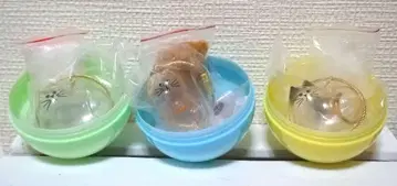 우리 아이의 케다마다마 노멀 브라운 트라이 컬러 세트