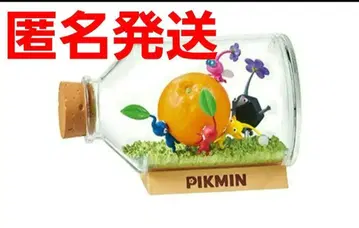 익일 익명 배송 피크민 테라리움 컬렉션 하코부