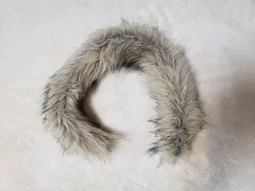 THE NORTH FACE Antarctica Parka의 퍼