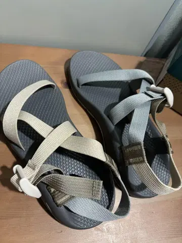 Chaco CHACO Ws Z1 클래식 EARTH GRAY