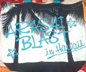 아라시 BLASTinHawai 토트백