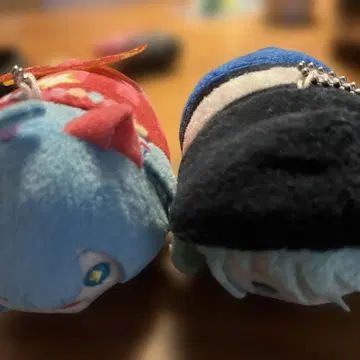 프로세카 모치후와