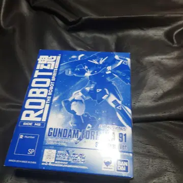 반다이 로봇혼 GUNDAM FORMULA 91