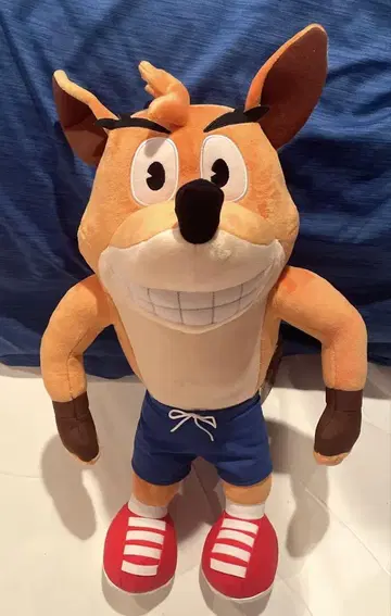 크러쉬 밴디쿠